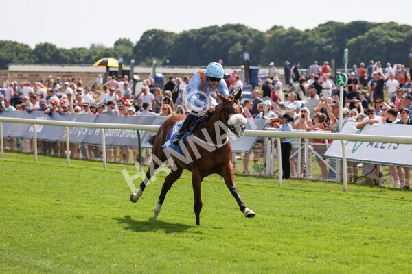 yr08072022r3-14 - Race 3 3.15pm William Hill Play Responsibly Irish EBF Novice Fillies Stakes