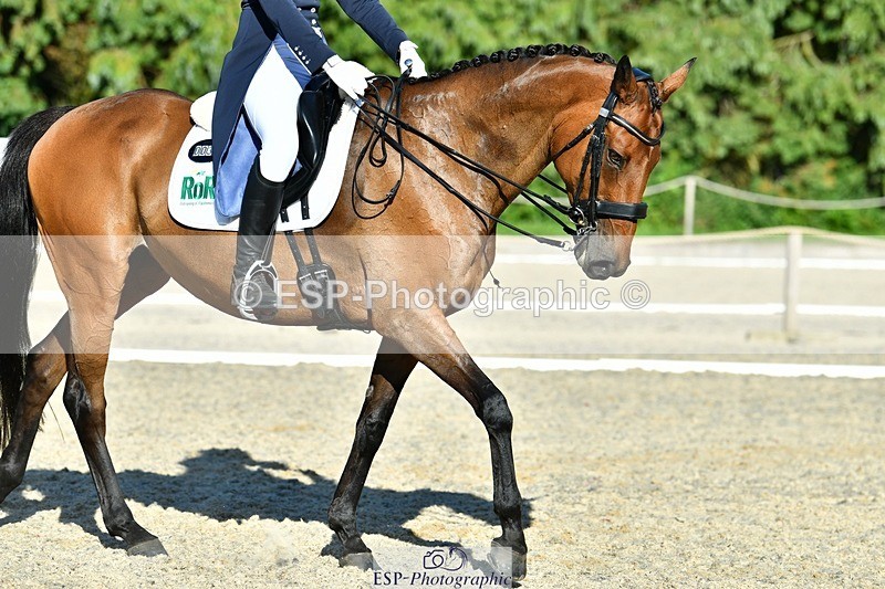 230623-182222-03236 - Cls 11 FEI PSG