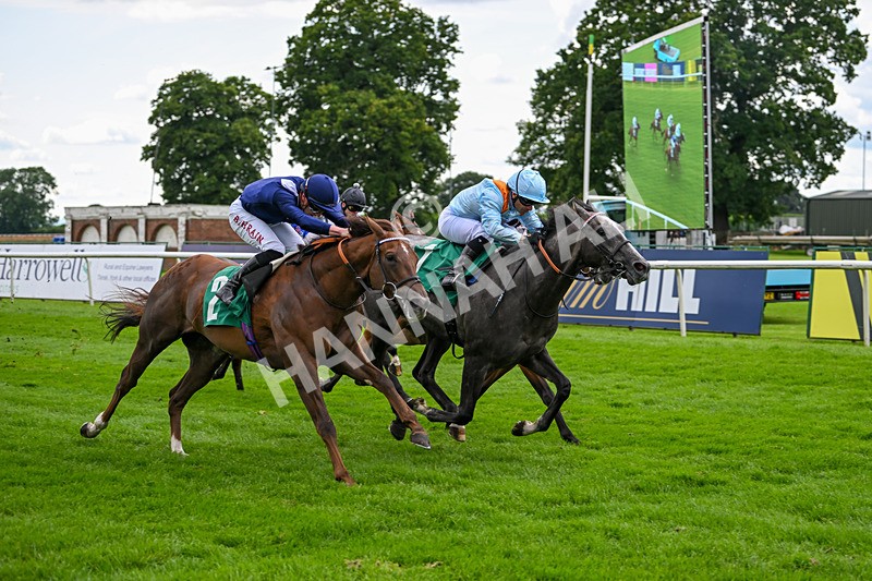 170724-Race 4-Bobby Bennu-0130 - Race 4