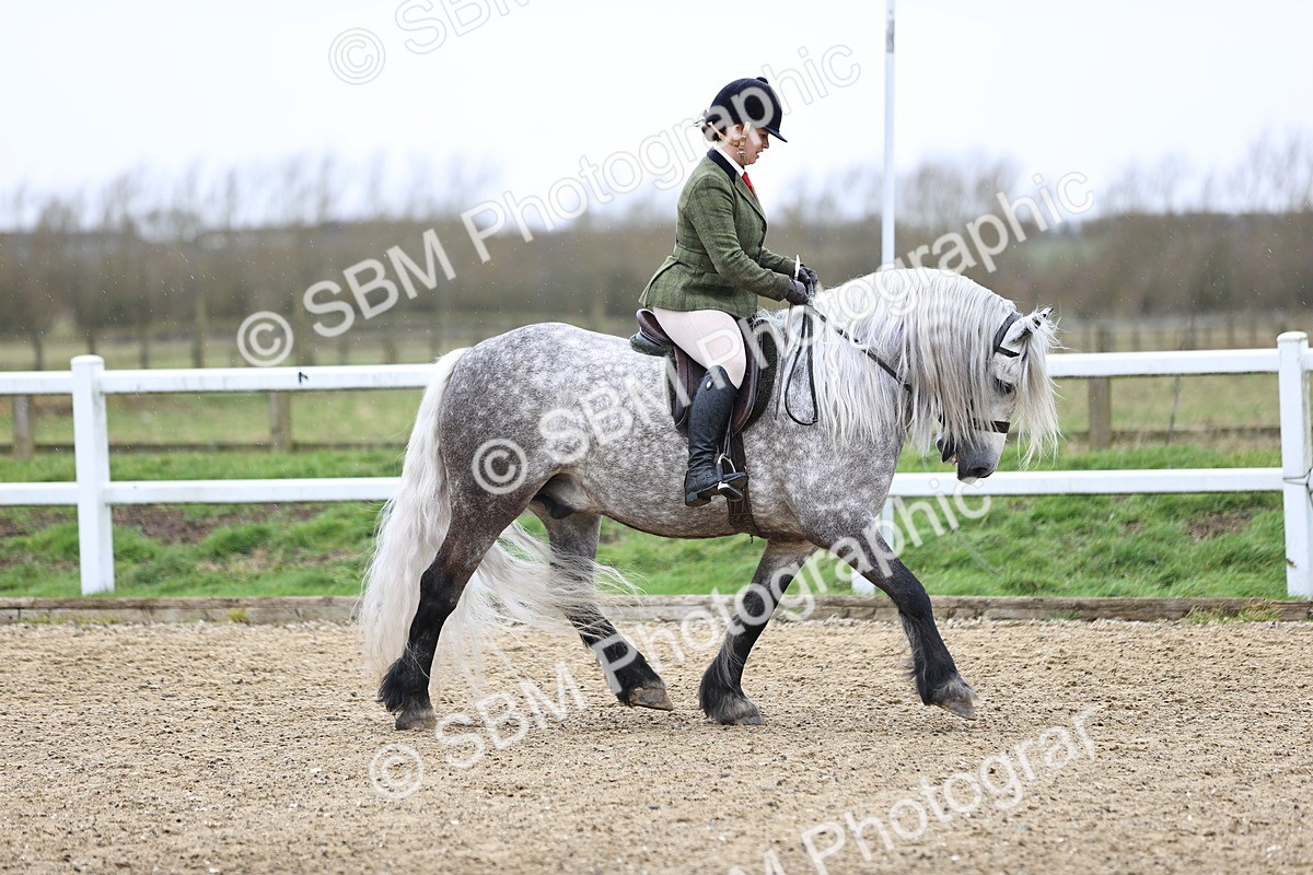 SBM_007495 - Class 31-32 - M&M Confined Novice Small-Large