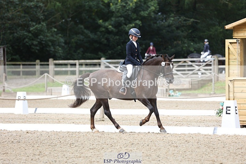 230812-103849-03290 - Cls 5 Novice Bronze Start to 10.55 break