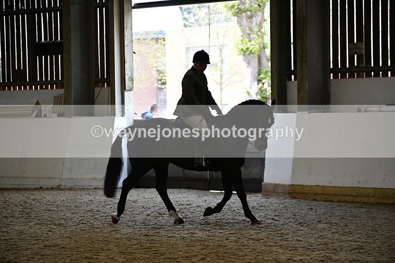 WJ5_6083 - Class 9 Ridden Veteran