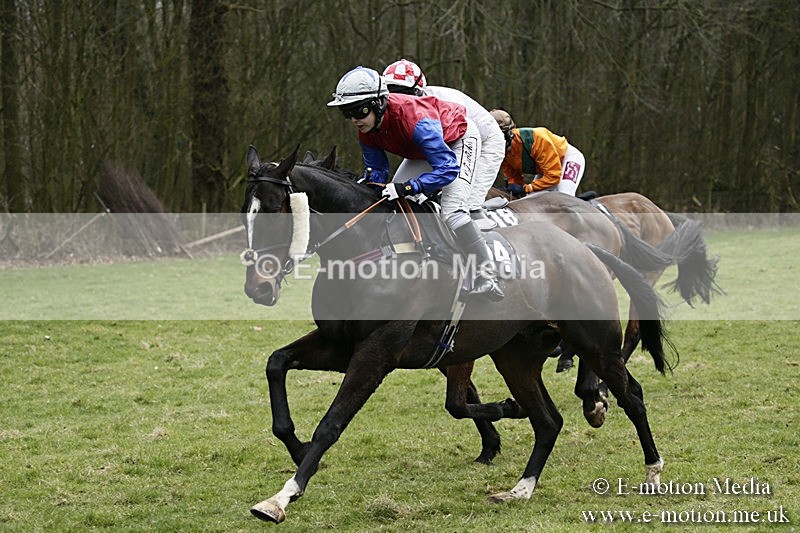 PtP 110318 123 - Hampshire Hunt Point-to-Point Hackwood Park 11/03/18