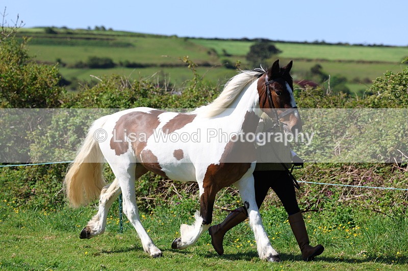 3E7A9354 - Class 16: Best Grass Kept