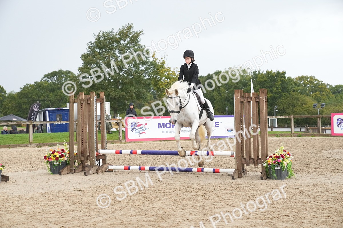 SBM_01505 - J54 - Clear Round 50cm