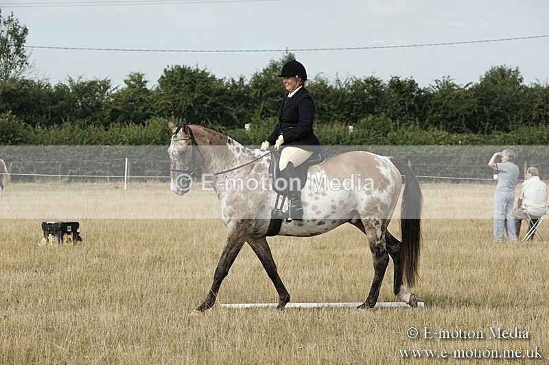 _PJP5706 - Dressage Classes BVRC Show 2018