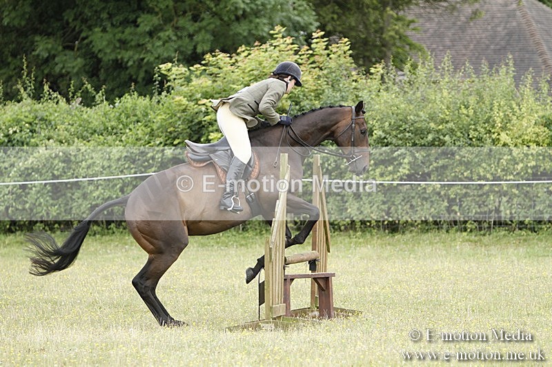 BVR160717-915 - Ring 3 BVRC Show 16/07/17