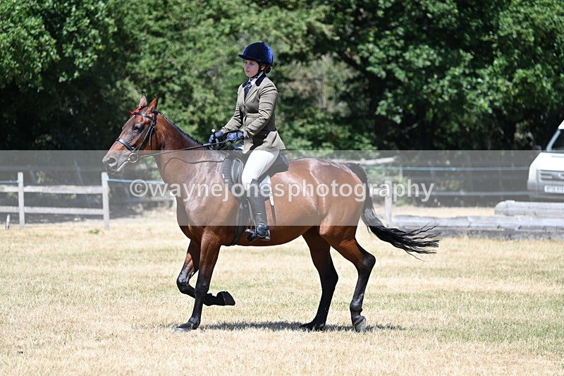WJ7_3061 - Class 7 Riding Club Show Horse