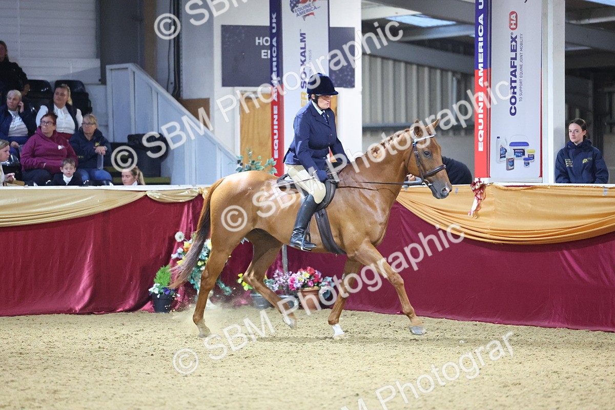 0B8A4271 - Class 108Ridden Retired Racehorse- Final Judging