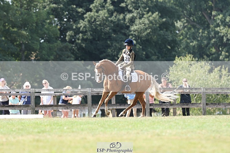 250823A-135552-31395 - Arena D