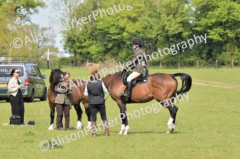20260426-2240 - Class 20 - Beginner Working Hunter