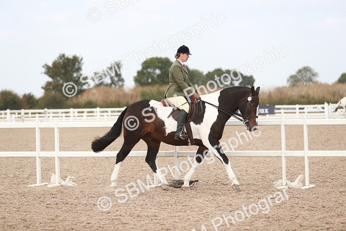 SBM_16611 - Class 214 Ridden Cob