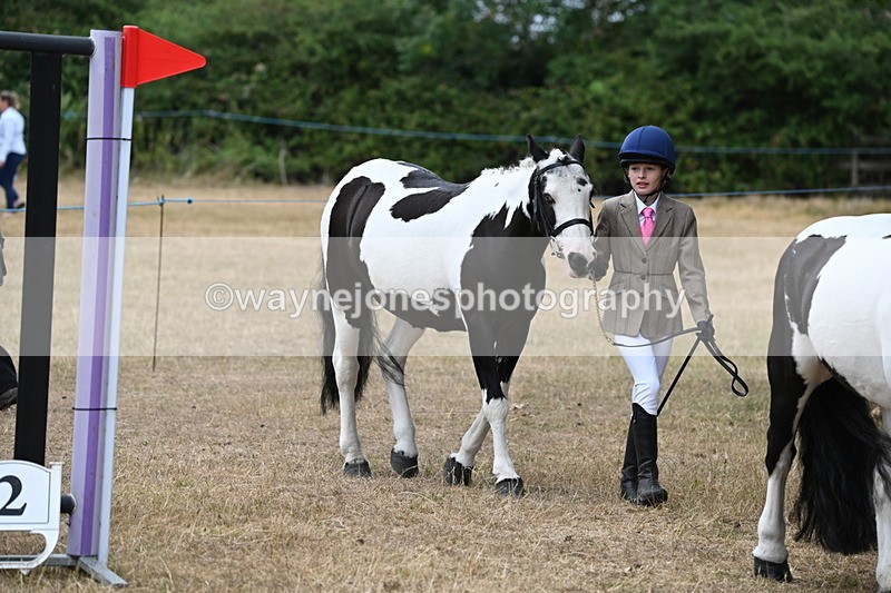 WJ6_7919 - Class 10 Coloured in Hand