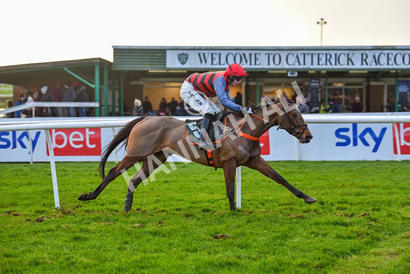 281223-Race 4-Lavida Adiva-2-14 - Race 4