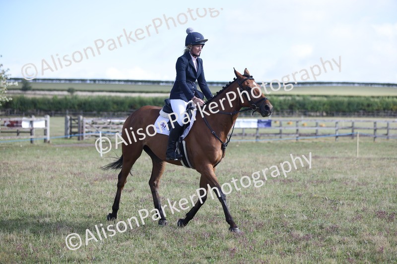 20250831-0874 - Class 14 - Ex Racehorse