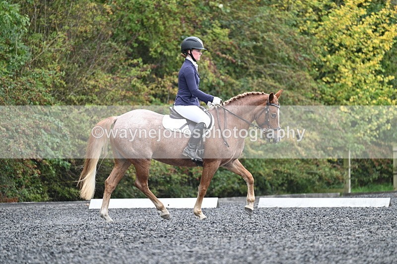 WJ7_3694 - Time 11:04 to 11:38