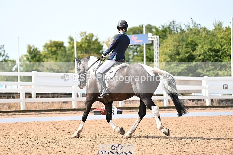 250815-112440-00601 - 037-Alys.MatraversTiger.Mazariti