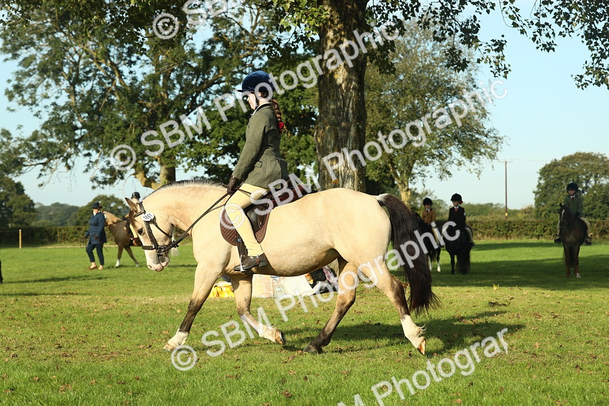 SBM_59158 - S38 - Starters Ridden Showing