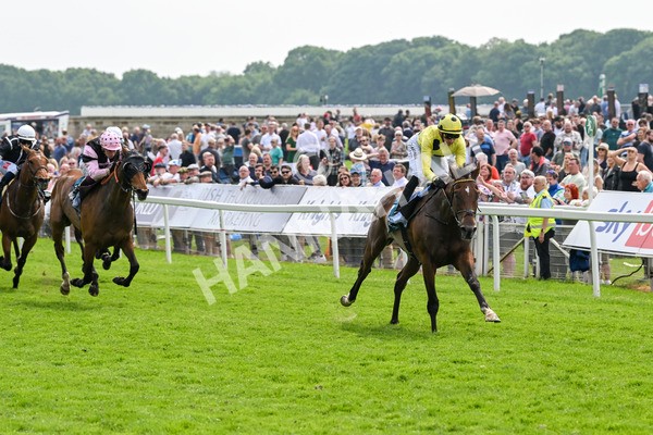 170524-Race 2-Botanical-7670 - Race 2 2.45pm Knights Solicitors Handicap