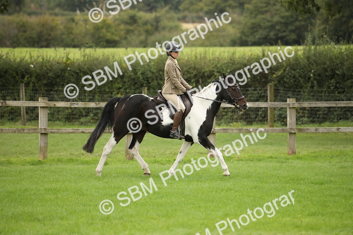 SBM_73774 - S41 - Ridden Equitation (Best Rider)