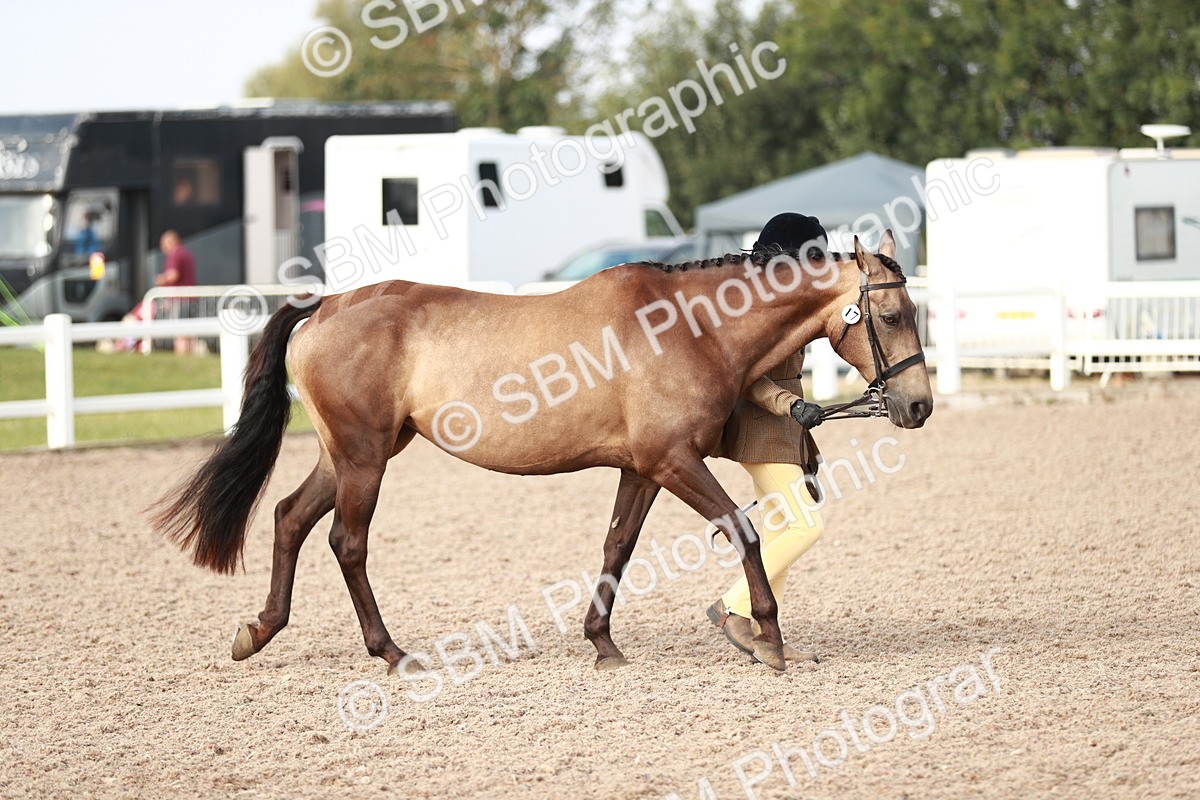 SBM_10490 - Class 204 Young Handler, 11-16 years