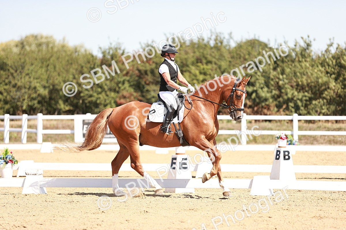 SBM_004559 - Class 12 - Novice 5 - 10.31-11.41