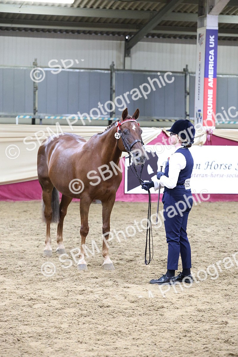 SBM_20450 - Class F - IH Small (148cm & Under)Champ