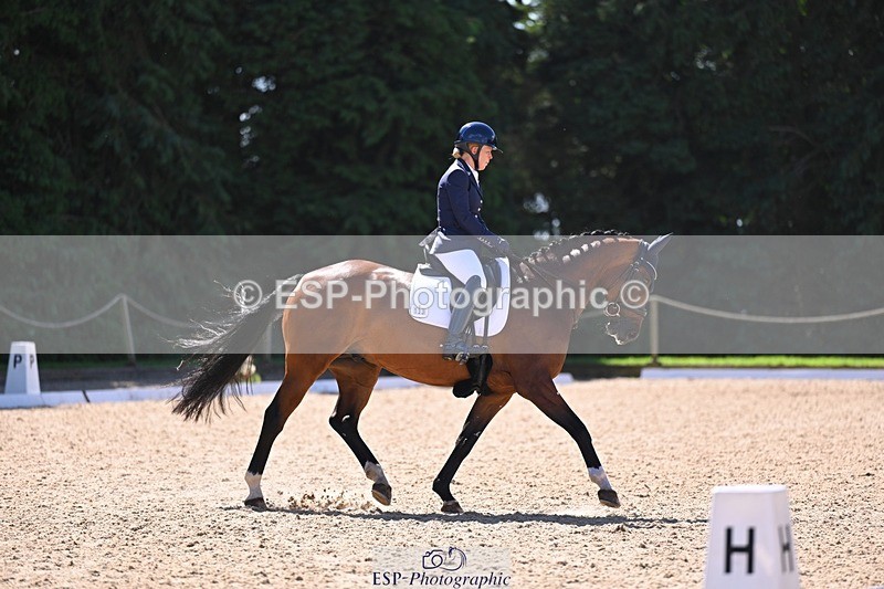 240809-111221-00519 - 133-Dawn.Bear-First.Taylor.Made