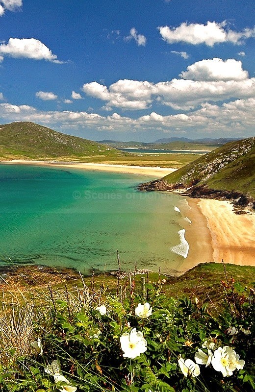 DSC_0096 crop - Tranarossan