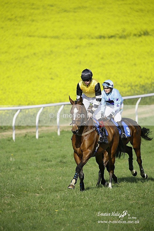 PtP 180422 336 - Old Berkshire PtP Lockinge 18/04/22
