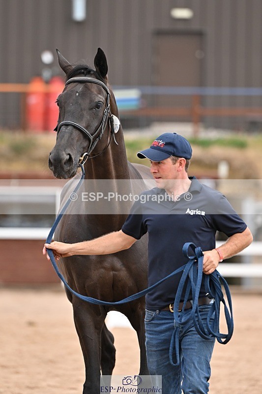 250716-152555-01941 - Trot Up 2.30 to 3.30