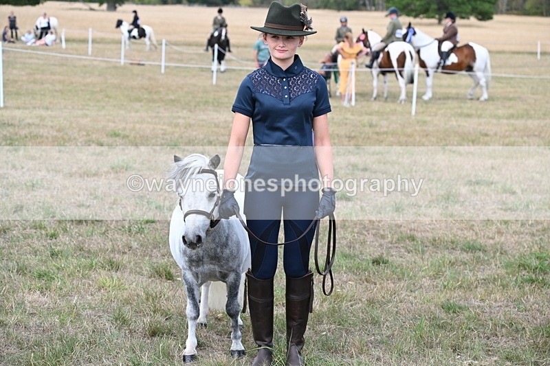WJ6_7091 - Class 21 Shetland & Mini Horses