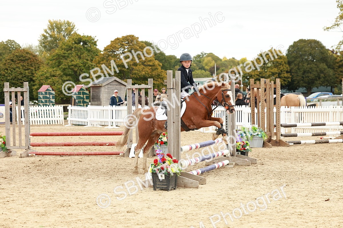 SBM_65299 - Supreme Championship 50cm & 55cm