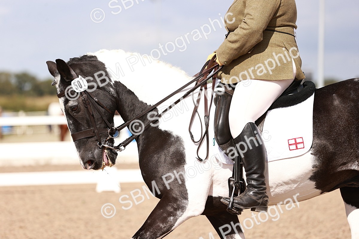 SBM_06601 - Class 39 - Medium 3