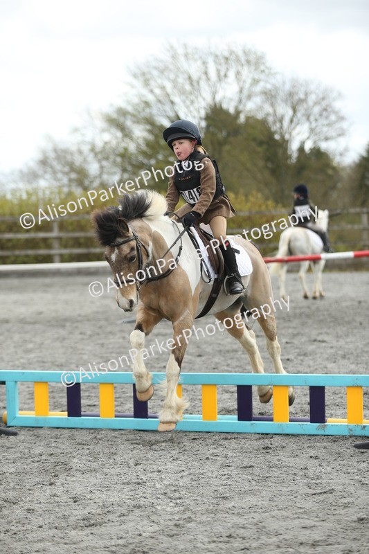 20260412-0645 - Show Jumping