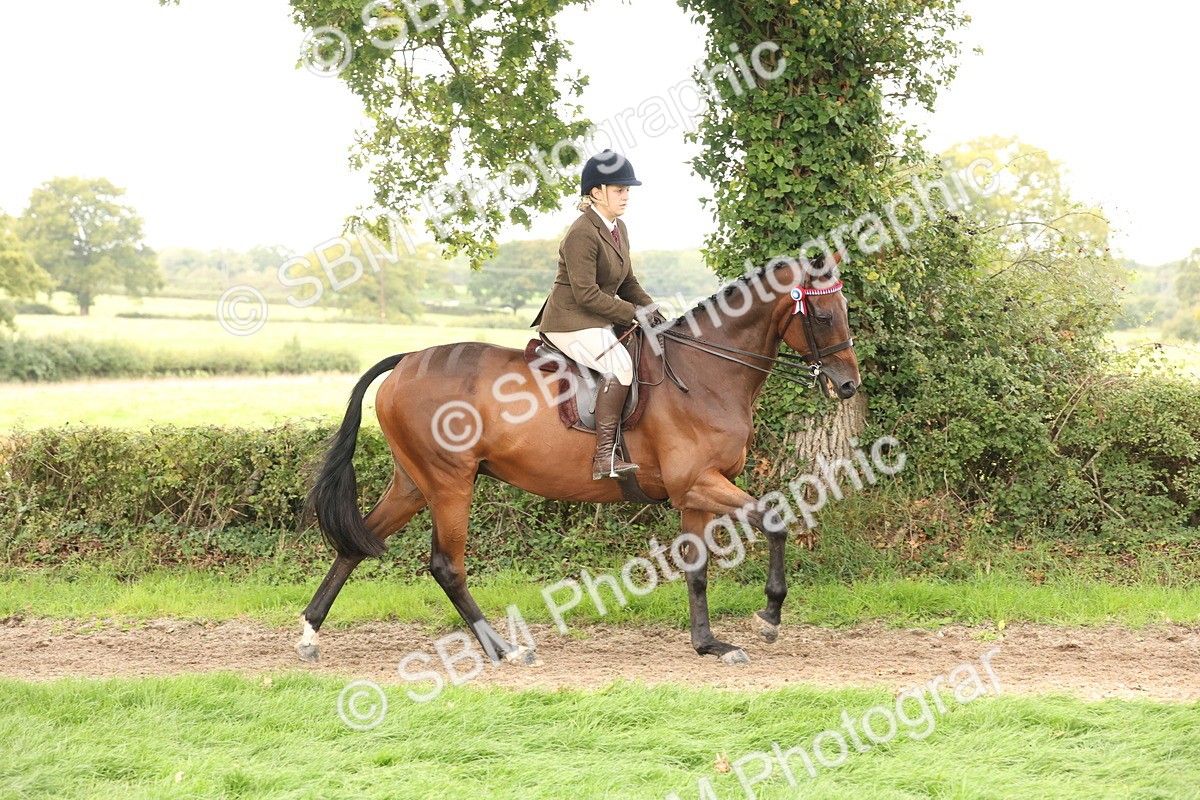 SBM_64187 - S65 - Riding Horse & Hack & Thoroughbred Ridden