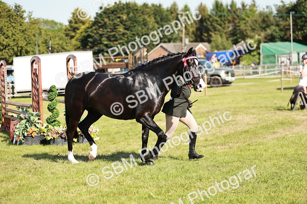 SBM_19273 - Class 115-116 - LIHS BSHA Rising Star Working Hunter & Show Horse