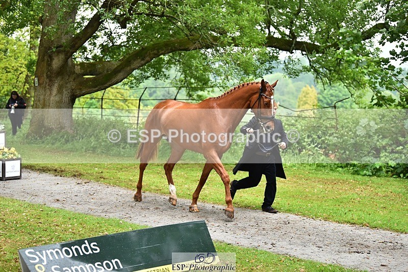 240522-163838-01058 - 215-RAMIRO_WANNABE-Finn_Healy