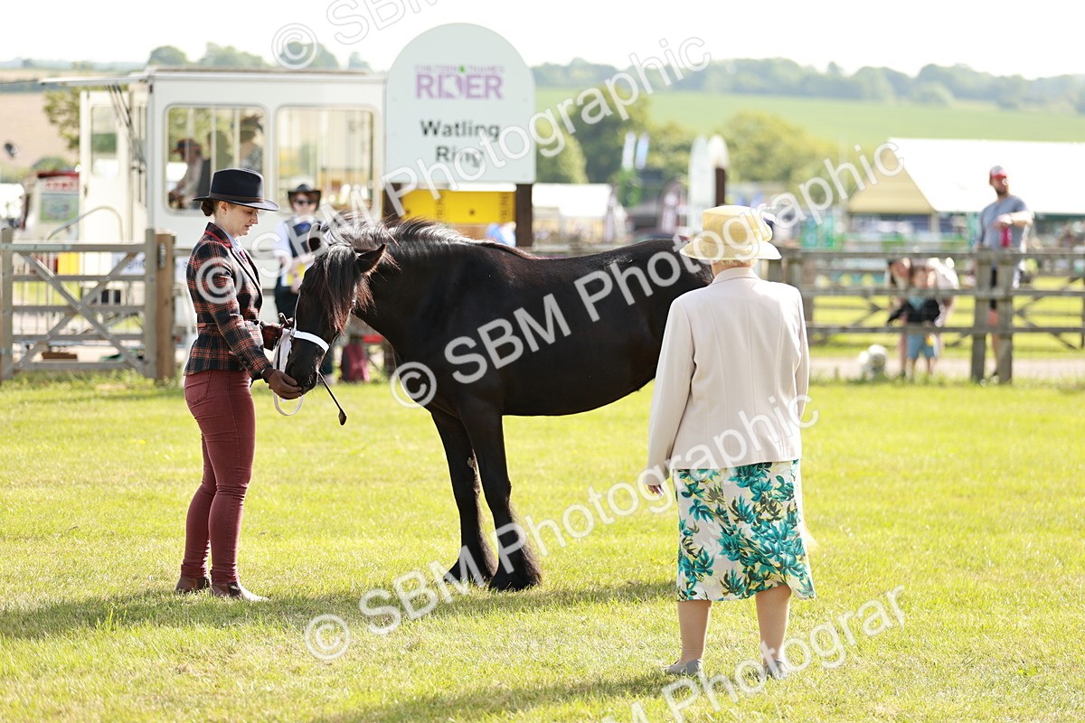 SBM_00721 - Class 14-23 - Mountain & Moorland In Hand Non Welsh