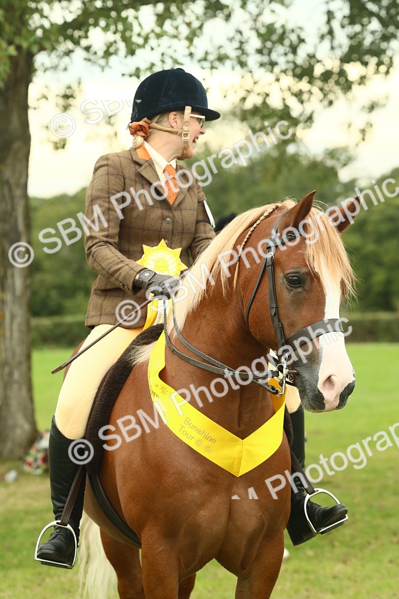 SBM_72306 - S60 - Mountain & Moorland Ridden Large Breeds