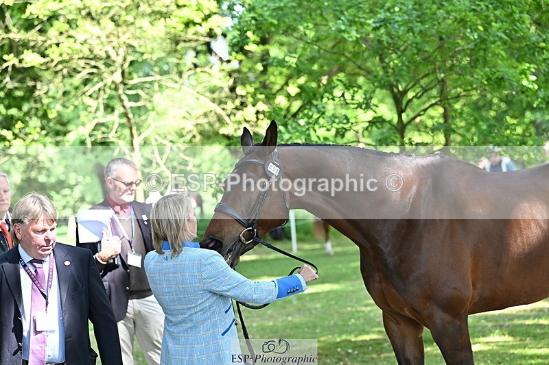 250521A-154315-00716 - B-358-Sammi.Birch-PARKFIELD.ARTIE.BLOU