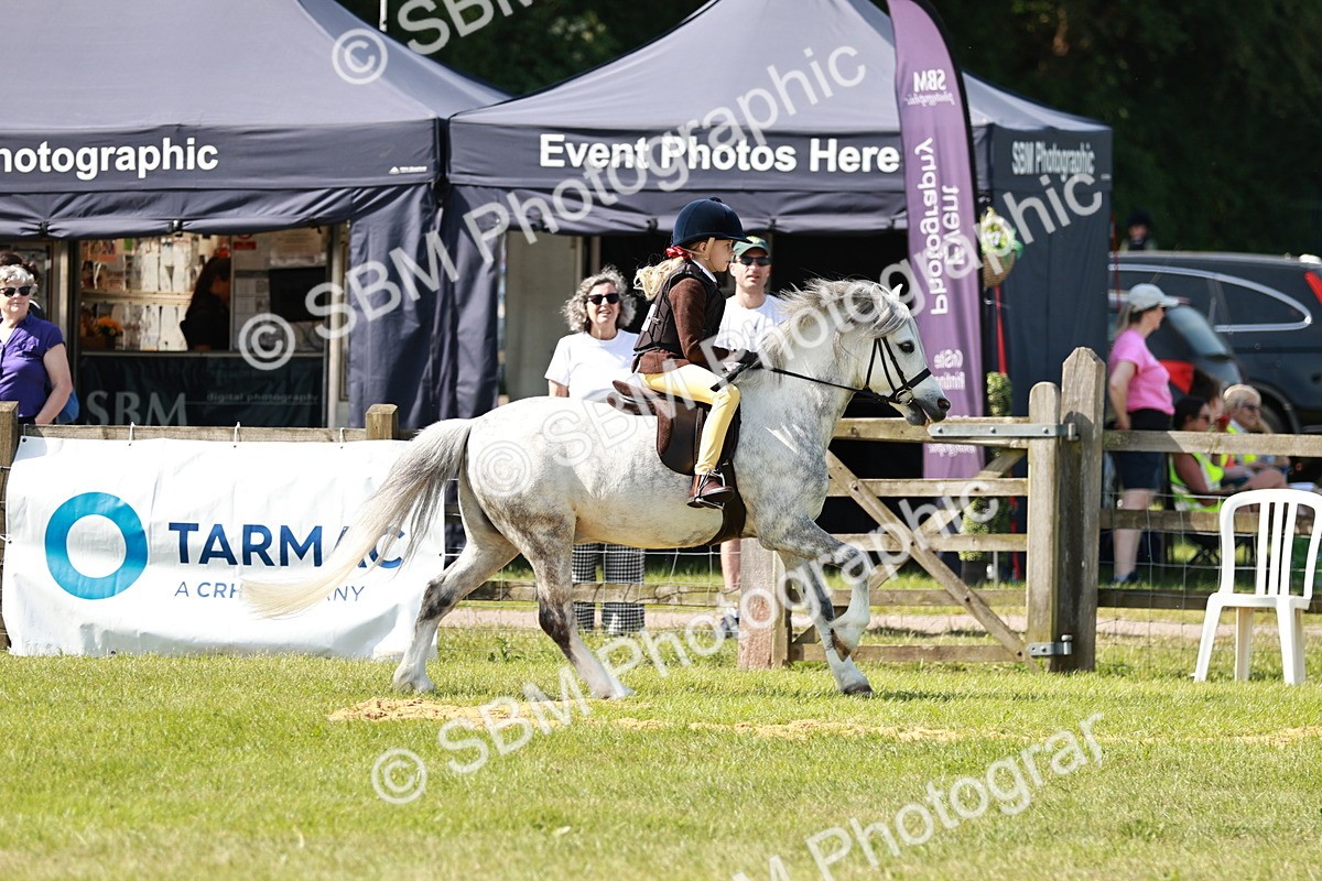 SBM_12786 - Class 106-107 - BSPS LIHS Working Sports Pony