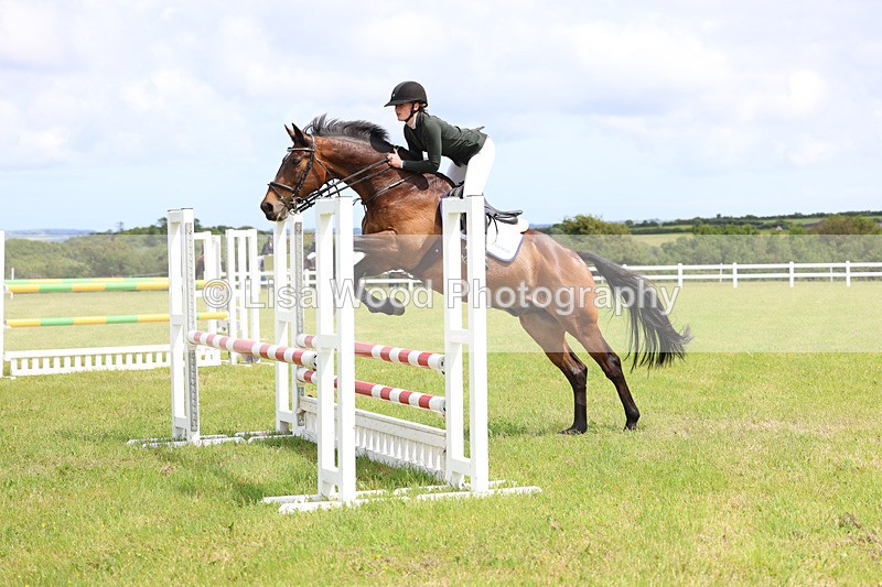 3E7A7507 - Class 13: Senior British Novice/90cm open