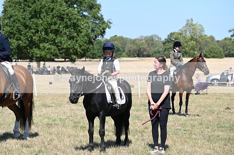 WJ6_8491 - Class 37a Best Loan Pony Ridden