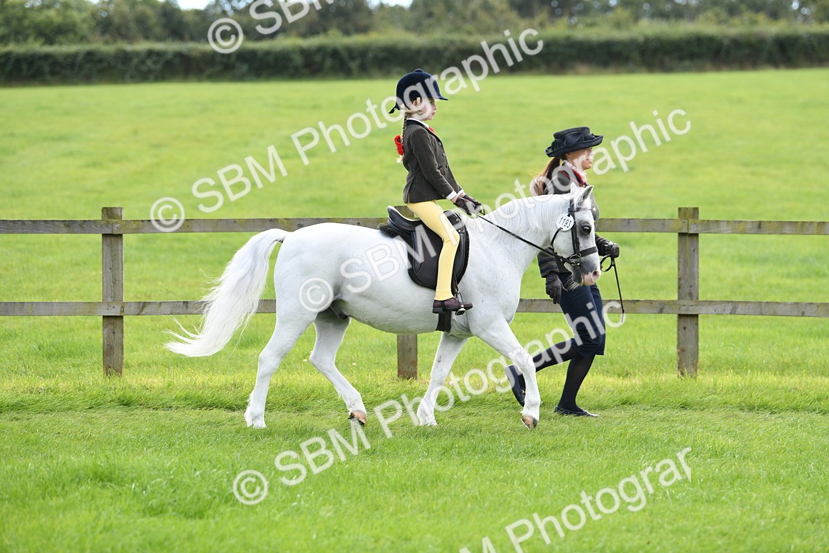 SBM_42447 - S20 - Lead Rein Mountain & Moorland Pony