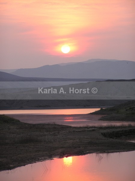 Sunrise Orange - Photos