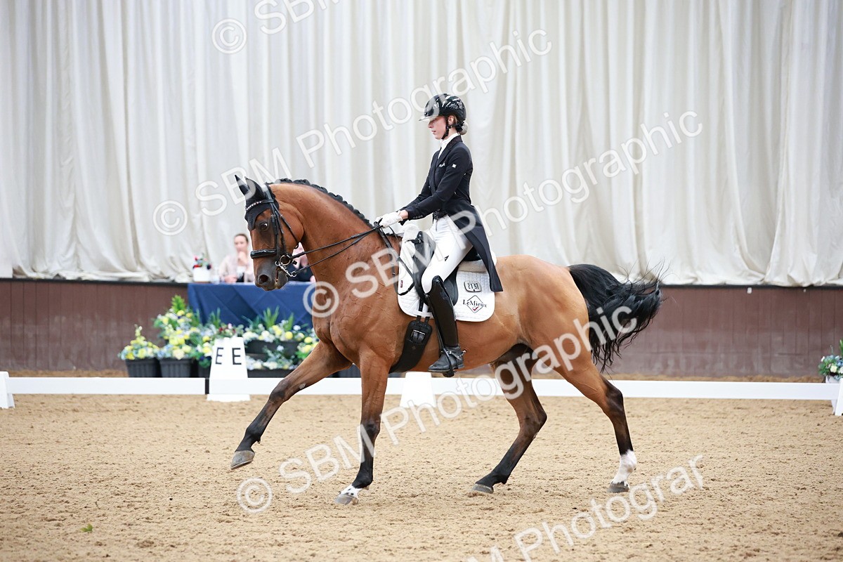 SBM_009645 - Class 13 - FEI PSG - 11.06-12.34