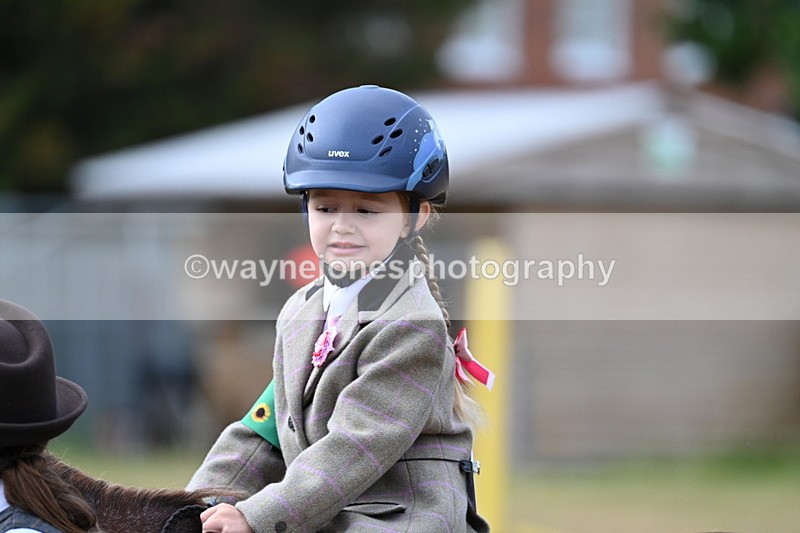 WJ7_6312 - Class 1 Lead Rein Pony