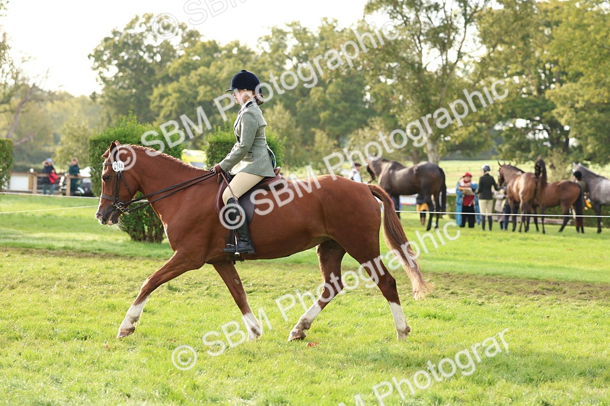 SBM_56604 - S40 - Starters Ridden Showing