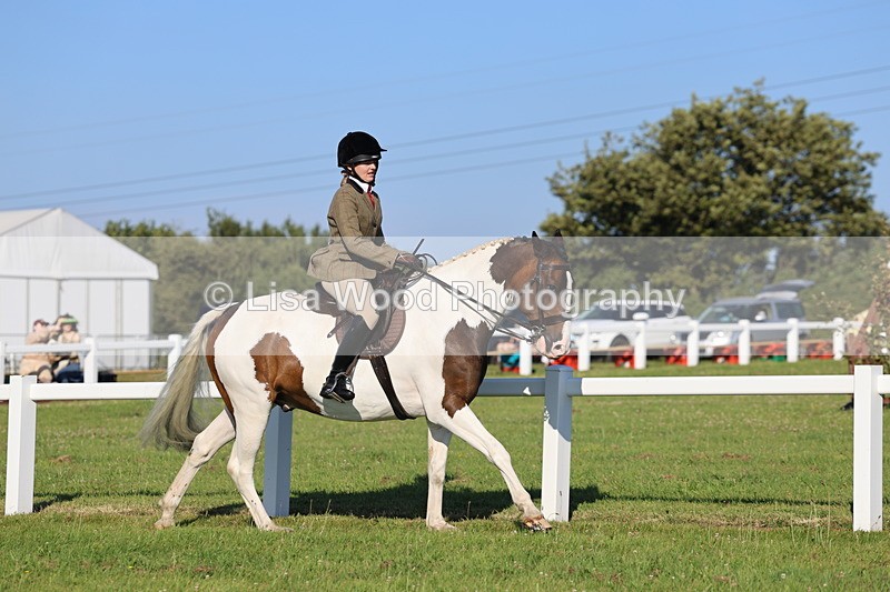IMG_1225 - Class 27: Ridden Plaited Coloured Horse